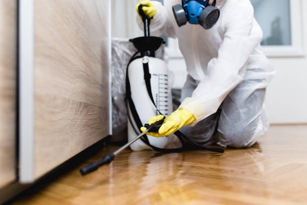 Wasp Removal Services in Columbus, MS