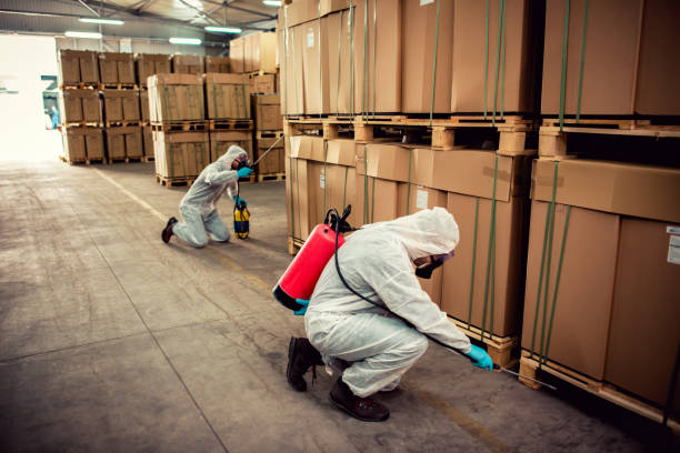Best Affordable Pest Control Services  in Columbus, MS