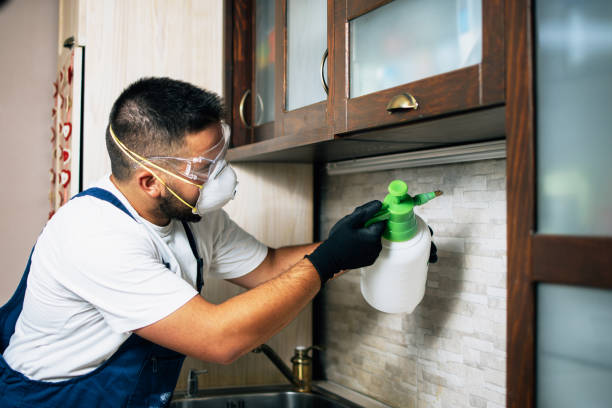 Best Flea Control Services  in Columbus, MS