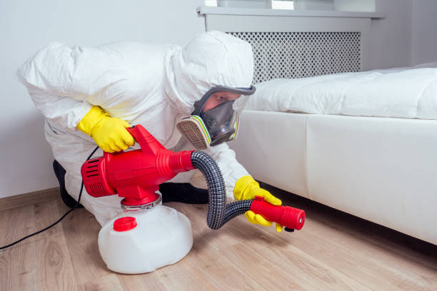 Best Local Pest Control Services  in Columbus, MS