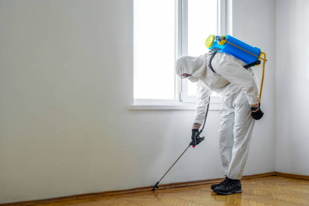 Best Local Pest Control Services  in Columbus, MS