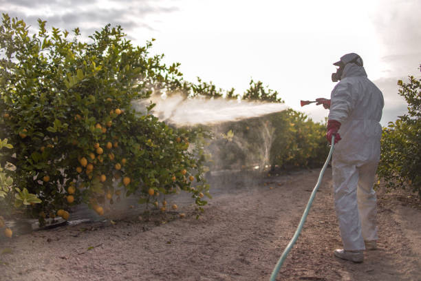 Best Exterminator Services  in Columbus, MS