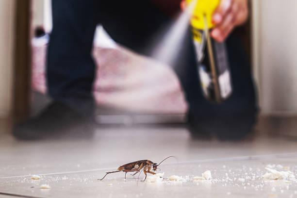 Best Best Pest Control Companies  in Columbus, MS