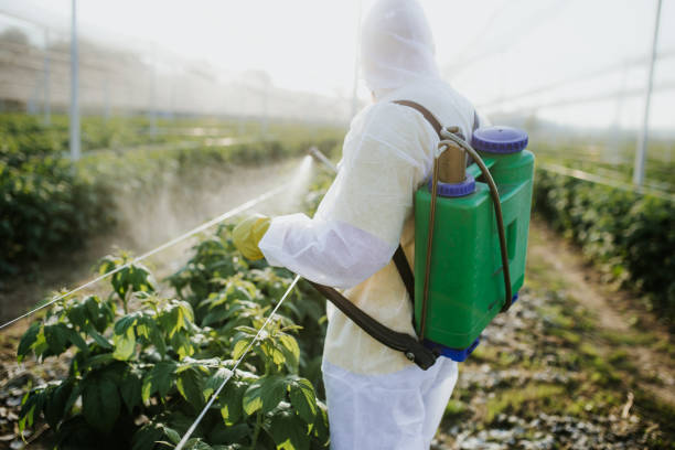 Best Emergency Pest Control  in Columbus, MS